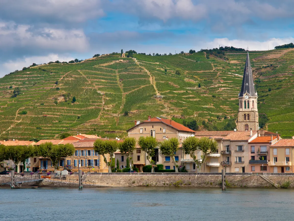 Beautiful Vineyards in the Cote du Rhone France