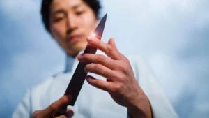 The 5 best electric knife sharpeners for Japanese knives in 2025
